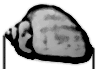 Längd