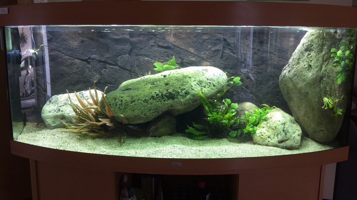 Akvarium Juwel 450