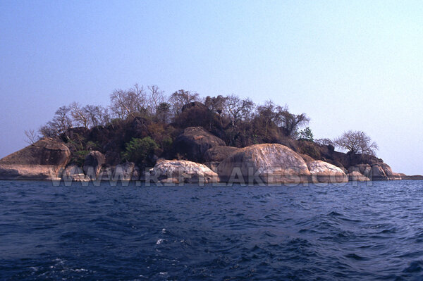 Otter Island