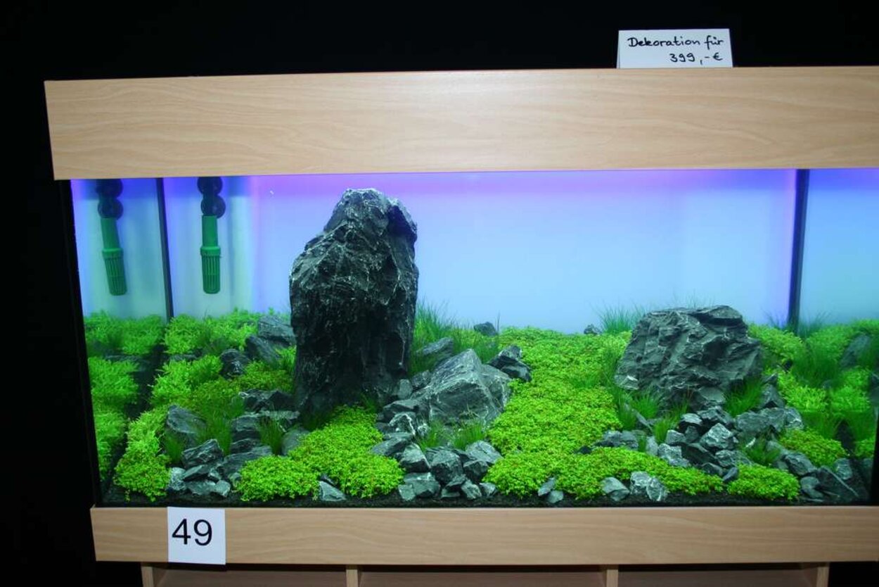 Mässan, Planted aquarium 2008