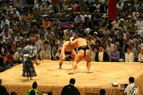 Sumo