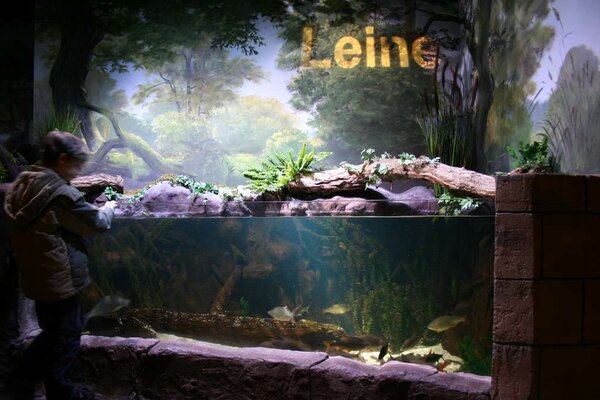 Sea Life, Hannover