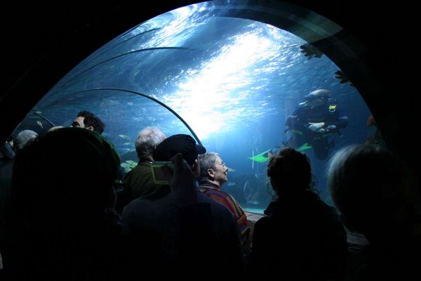 Sea Life, Hannover