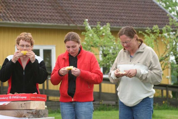 Surt sa rävarna