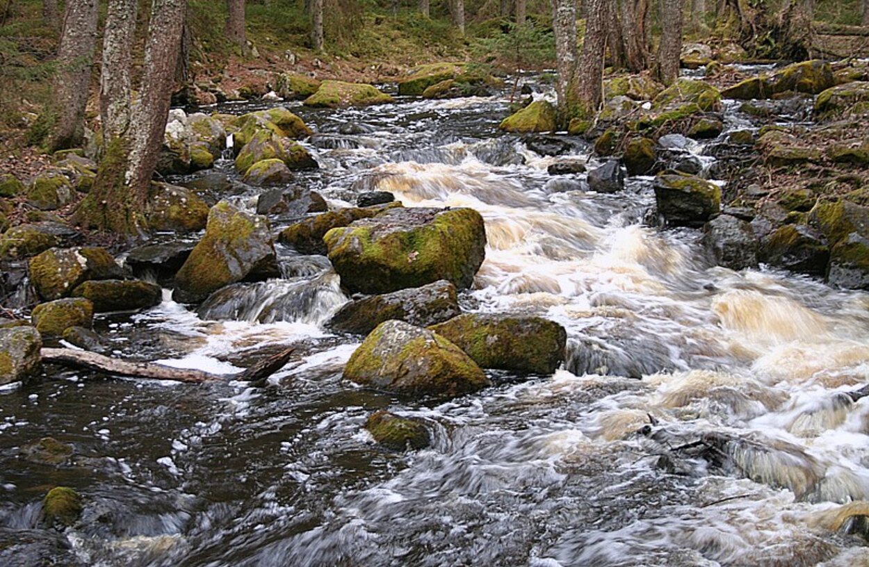 Verkmyrån ser fisktom ut fortfarande