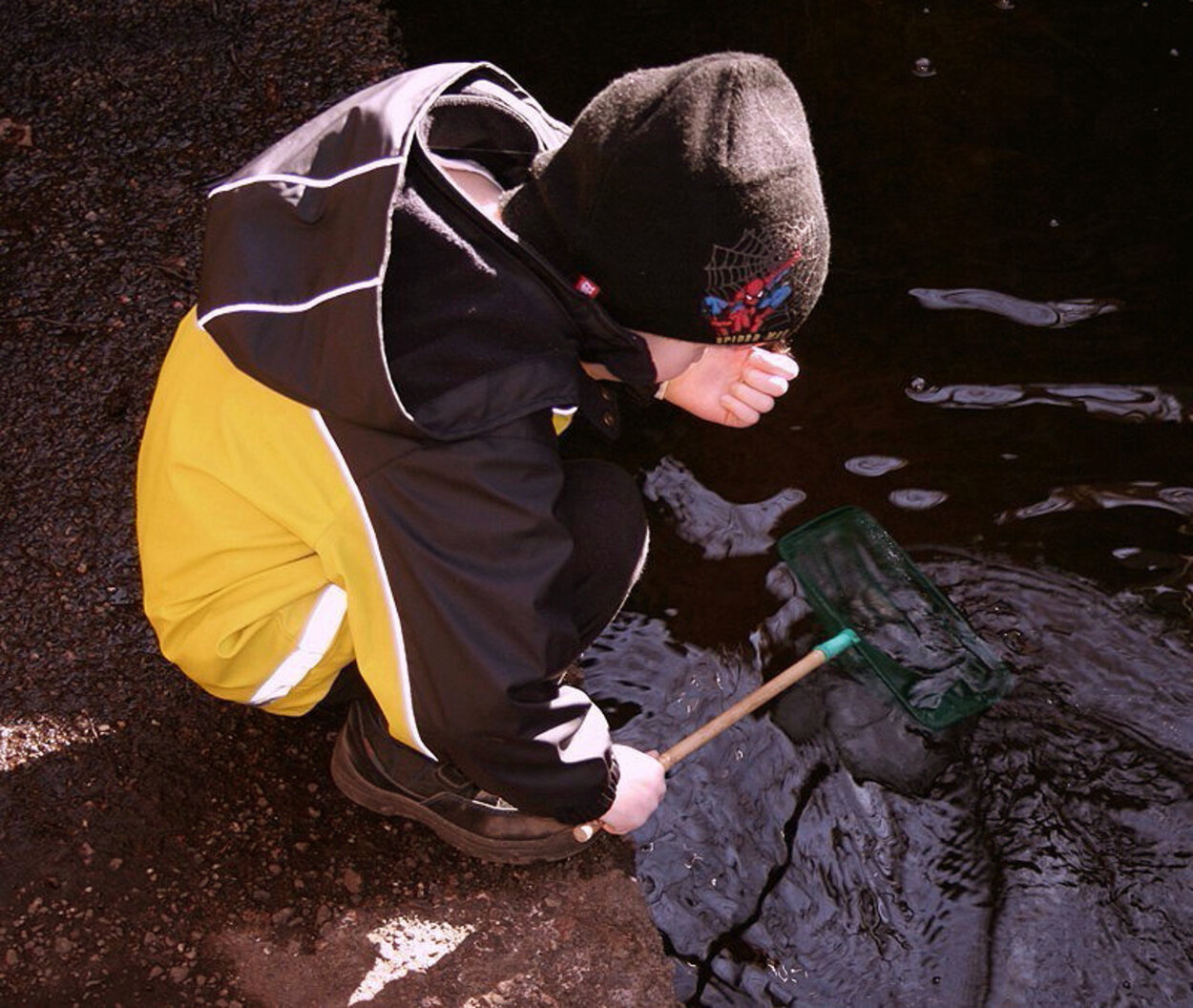 Håvning av lite gammarus och suggor