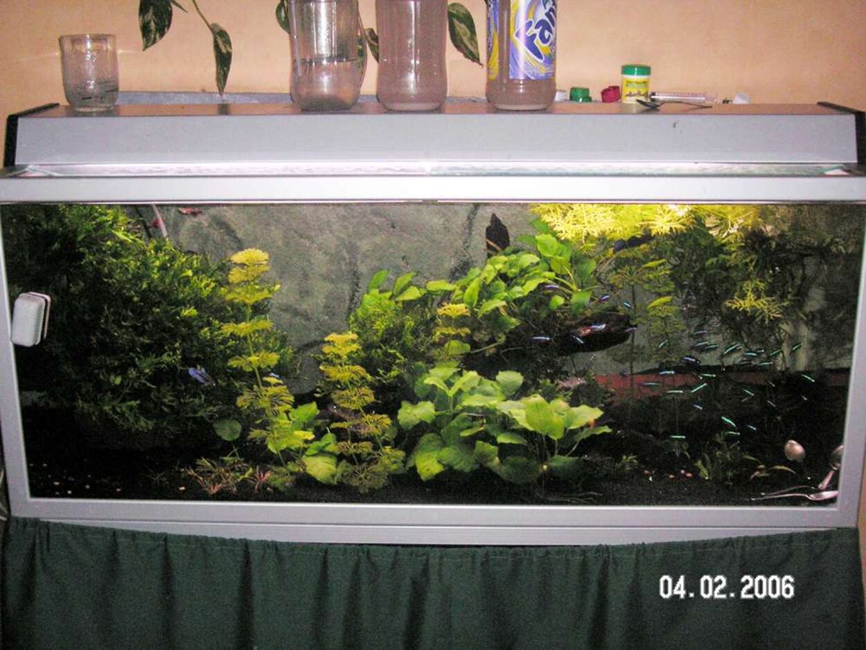 220liters växtakvarium