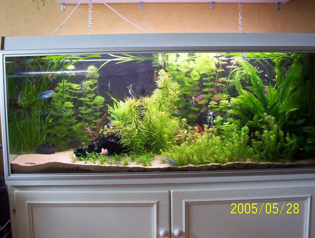 450-Liters akvarium