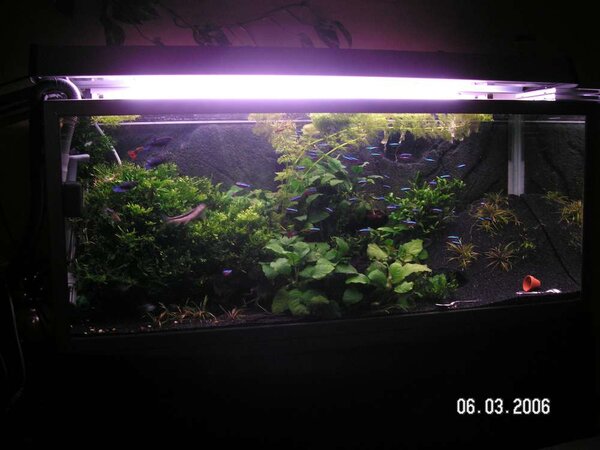 220liters växtakvarium