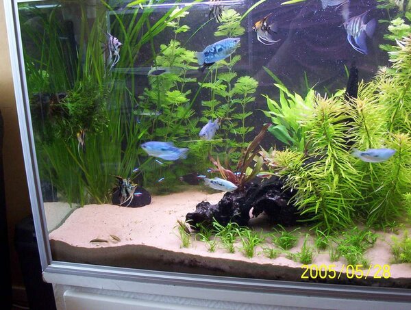 450-Liters akvarium