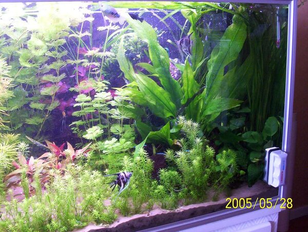 450-Liters akvarium