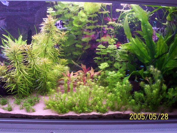 450-Liters akvarium