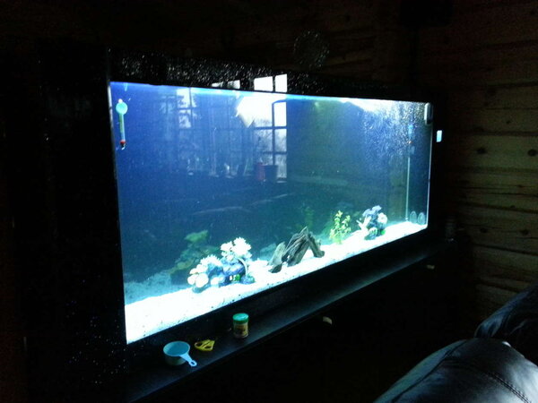 mitt smala akvarium =)