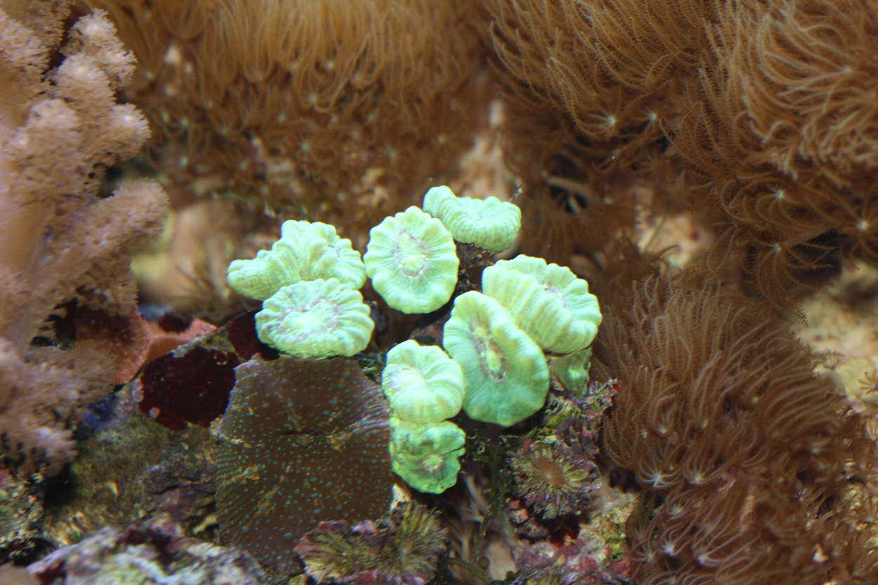 PlantedAquarium_2013-15