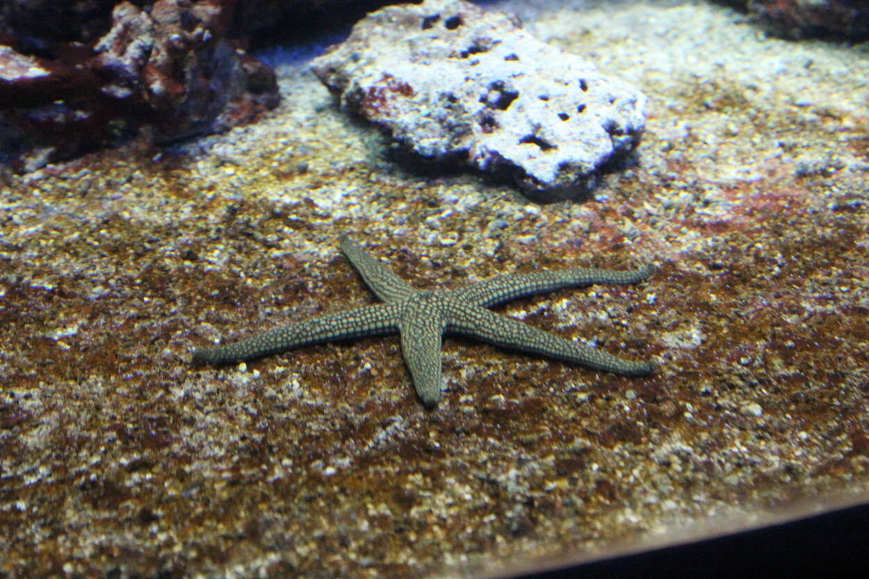 PlantedAquarium_2013-23