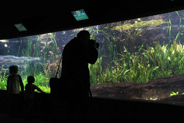Kjell framför det stora Amazonaskaret på Hagenbecks Zoo