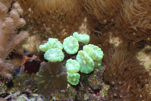 PlantedAquarium_2013-15