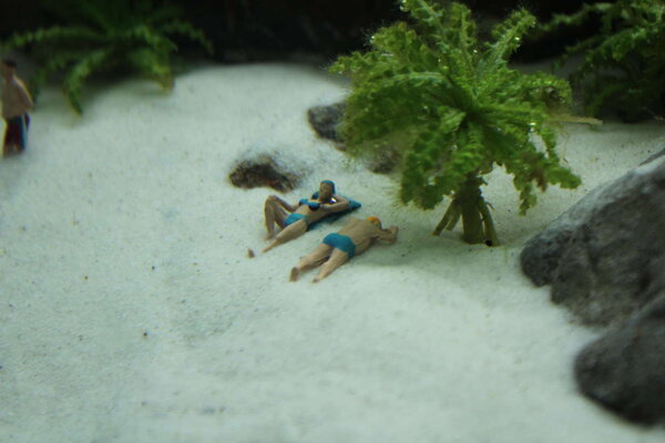 PlantedAquarium_2013-20