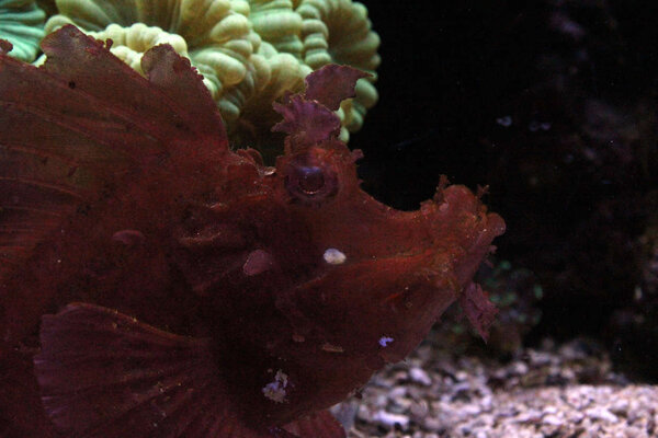 PlantedAquarium_2013-44