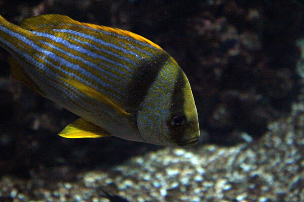 PlantedAquarium_2013-48