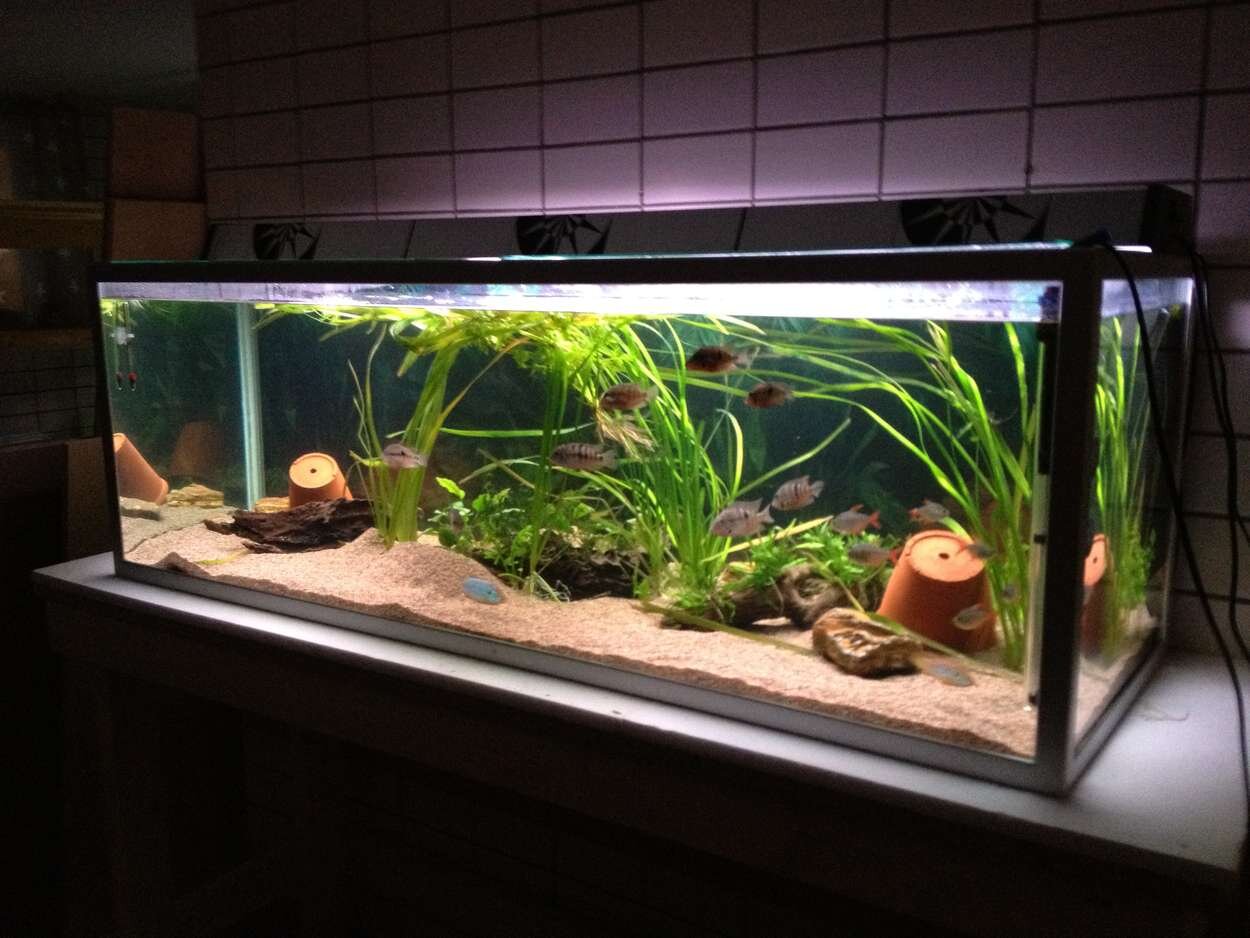 375 liters akvariet.